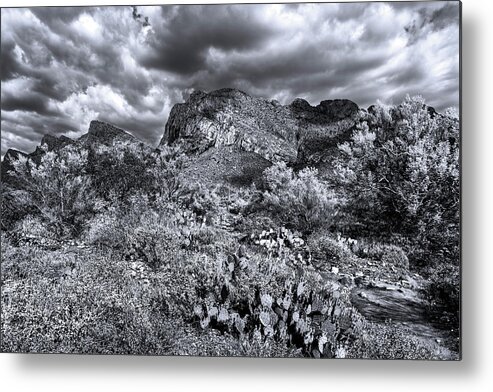 Santa Catalina Metal Print featuring the photograph Southwest Spring m1935 by Mark Myhaver