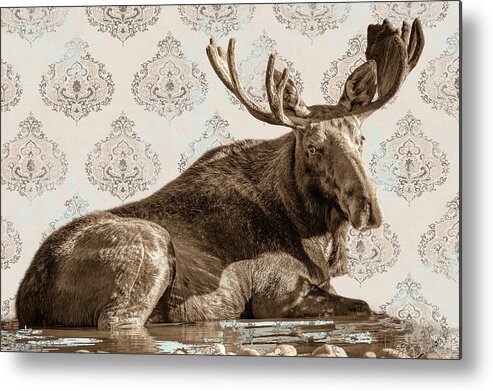 Moose Metal Print featuring the photograph Spa Day by Mary Hone