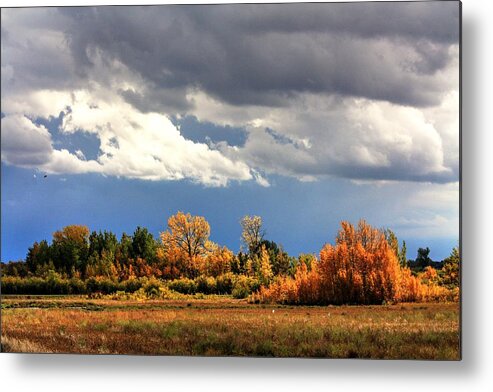 Autumn Fall Colours Colors Winter Red Yellow Red Orange Blue Harvest Evening The End Over This Before Winter Awakening Fall Colours Fall Color Summers End Metal Print featuring the photograph Spot light by David Matthews