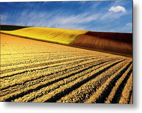 Furrows Metal Print featuring the photograph Spring Fields by Evgeni Dinev