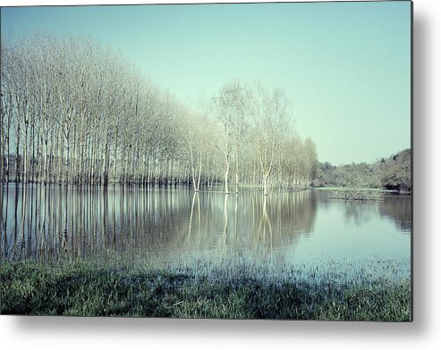 Tranquility Metal Print featuring the photograph Spring Flooding by Louise Legresley