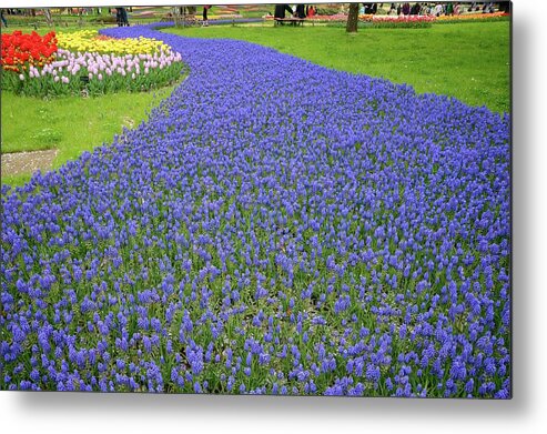 Flowerbed Metal Print featuring the photograph Spring Park by M.arai