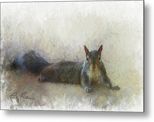 Squirrel Metal Print featuring the photograph Squirrel Chilling by Randall Allen