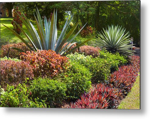 Botanic Garden Flora Metal Print featuring the photograph Sri Lanka - Kandy, Peradeniya Botanic by Jan Wlodarczyk