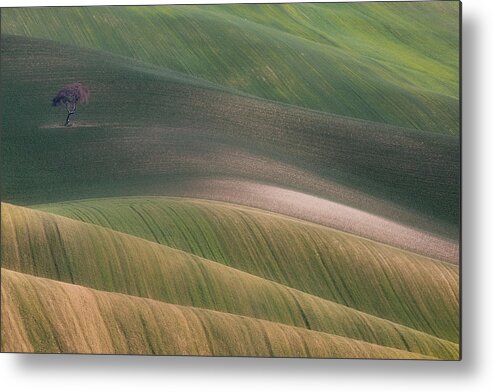 Hills Metal Print featuring the photograph S.t. 012 by Dorian Gray