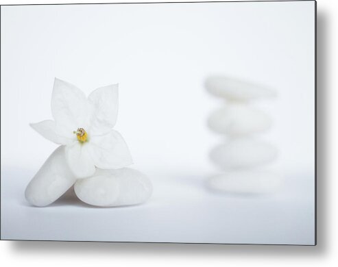 White Background Metal Print featuring the photograph Stack Of White Pebbles And Jasmine by G.g.bruno