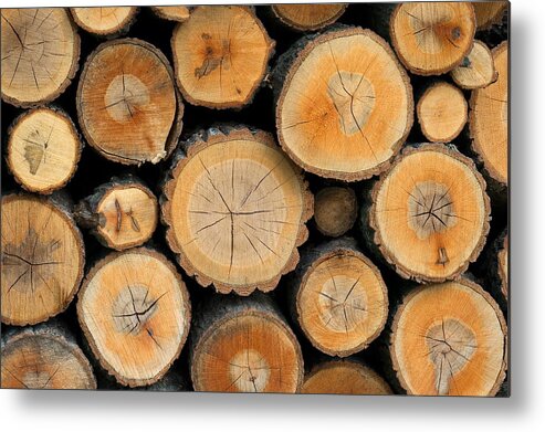 Scenics Metal Print featuring the photograph Stacked Logs by Sunnybeach
