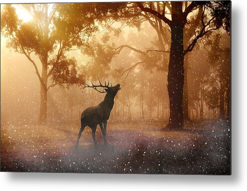 Photo Metal Print featuring the photograph Stag in the forest by Top Wallpapers