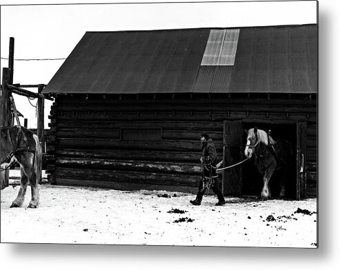 Ranch Metal Print featuring the photograph Starting the day by Julieta Belmont
