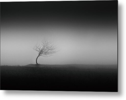 Atmosphere Metal Print featuring the photograph Steadiness by Gabriel Bistriceanu