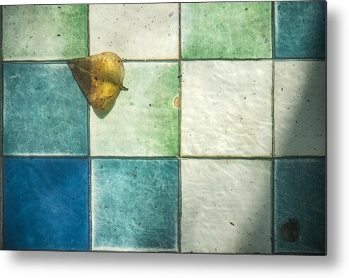 Still Life Metal Print featuring the photograph Still Life...at The Bottom Of A Pond by Linda Wride