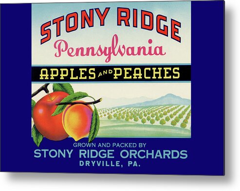 Peach Metal Print featuring the painting Stony Ridge Pennsylvania Apples and Peaches by Unknown