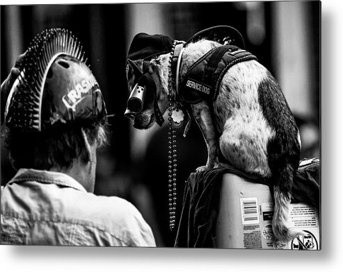 Photo Metal Print featuring the photograph Street dog by Jason Hughes