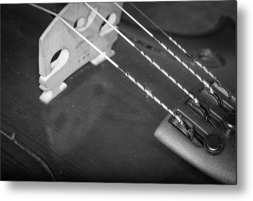 Music Metal Print featuring the photograph Strings Series 26 by David Morefield