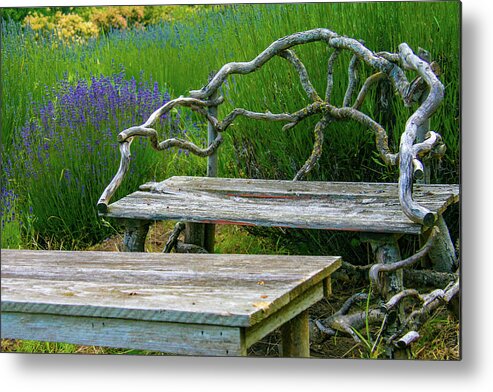 Pacific Northwest Metal Print featuring the photograph Summer afternoon at a lavender garden by Leslie Struxness
