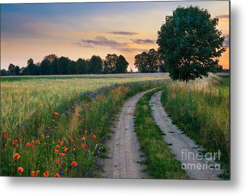 Country Metal Print featuring the photograph Summer Landscape With Country Road by Ysuel