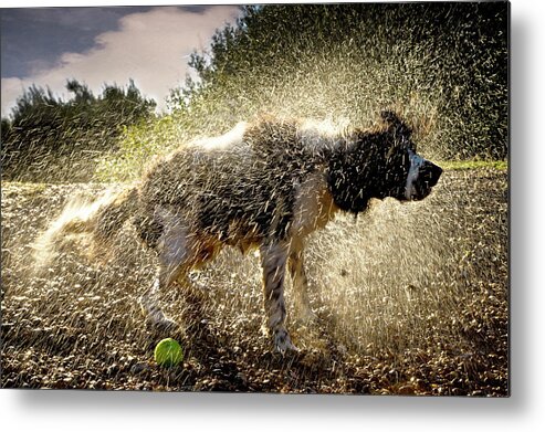 Kent Metal Print featuring the photograph Sunday Morning Dip Then A Good Shake by Andy Smith Photography