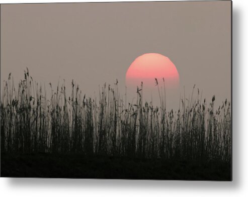 Flyladyphotographybywendycooper Metal Print featuring the photograph Sundown by Wendy Cooper