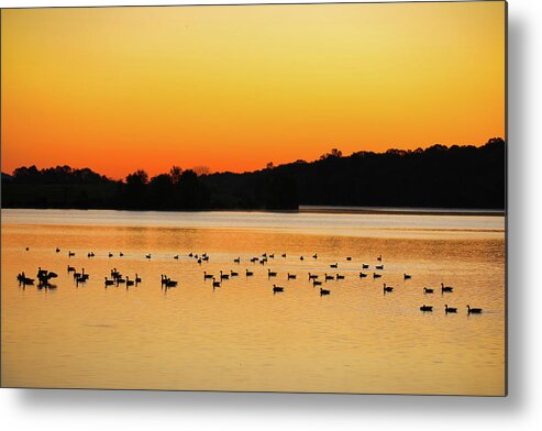 Sunrise Metal Print featuring the photograph Sunrise With The Geese by Scott Burd