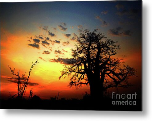 Africa Metal Print featuring the photograph sunset on the Zambezi by Darcy Dietrich