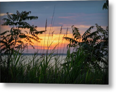 2d Metal Print featuring the photograph Sunset Through The Grass by Brian Wallace