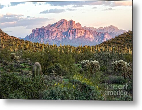 Arizona Metal Print featuring the photograph Sunset Mountain View by Lisa Manifold