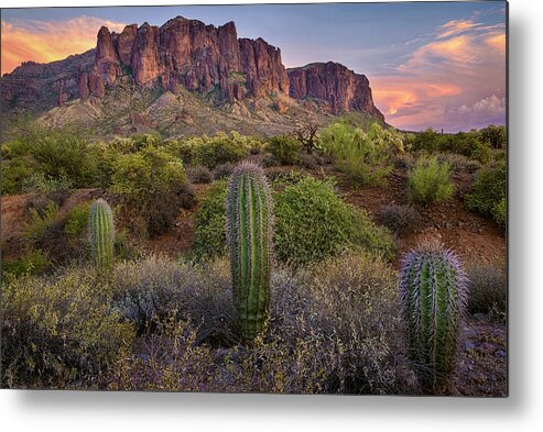 Superstition Mountains Metal Print featuring the photograph Superstitions and Cactus at Lost Dutchman by Dave Dilli