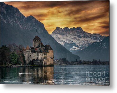 Animals In The Wild Metal Print featuring the photograph Swan And Chateau De Chillon by Stanley Chen Xi, Landscape And Architecture Photographer