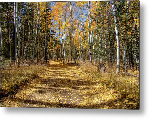 Arizona Metal Print featuring the photograph Take Me Home Country Road 3 by TL Wilson Photography by Teresa Wilson