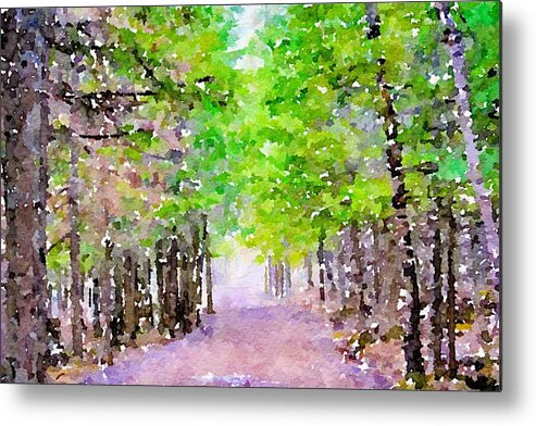 Painting Metal Print featuring the mixed media Take Me to the Forest #2 by Susan Rydberg