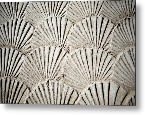 Seoul Metal Print featuring the photograph Texture Sea Shells by Derek Winchester