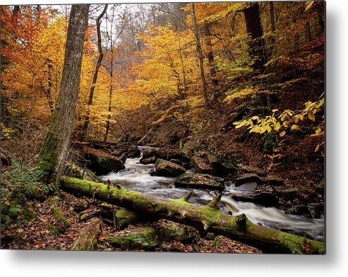 Fall Metal Print featuring the photograph The Beauty of Fall - Ricketts Glen in PA by Rose Guinther
