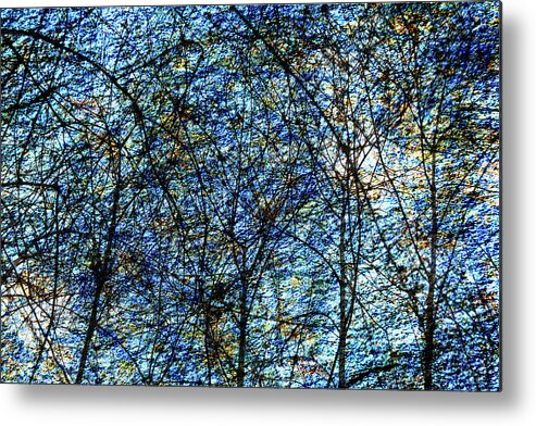 Decor Metal Print featuring the photograph The Blues by Jay Binkly
