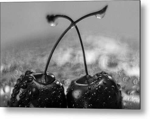 Wolfgang Stocker Metal Print featuring the photograph The Cherry Couple by Wolfgang Stocker