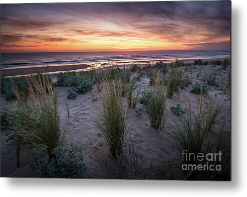 Natural Landscape Metal Print featuring the photograph The Dunes In The Sunset Light by Hannes Cmarits