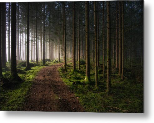 Forest Metal Print featuring the photograph The Forest by Benny Pettersson