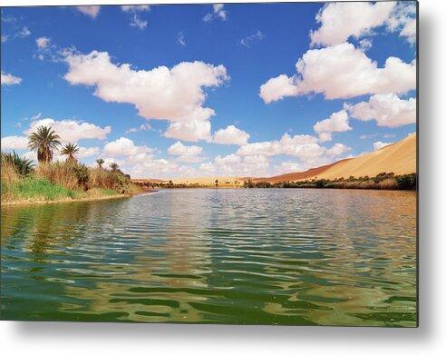 Date Palm Tree Metal Print featuring the photograph The Green Oasis - Mandara Lakes by Cinoby
