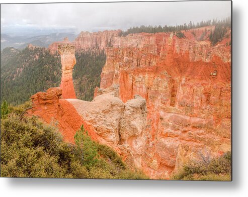 Bryce Canyon Metal Print featuring the photograph The Hunter 0961 by Kristina Rinell