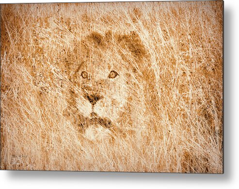 Lion Metal Print featuring the digital art The King by Mark Allen