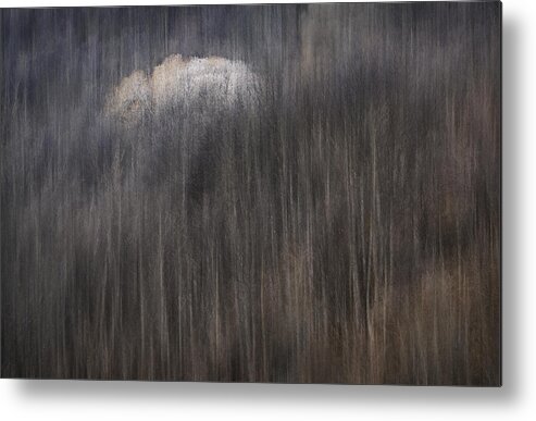 Arrowtown Metal Print featuring the photograph The Last Autumn Colors by Jingshu Zhu