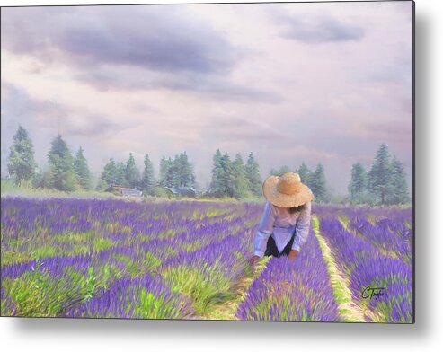 Lavender Metal Print featuring the mixed media The Lavender Lady of Provence by Colleen Taylor