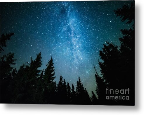 Magic Metal Print featuring the photograph The Milky Way Rises Over The Pine Trees by Andrey Prokhorov