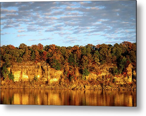 Fall Metal Print featuring the photograph The Splendor of Gold by Michael Scott