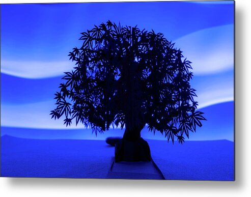 Tree Metal Print featuring the photograph The Tree Of Life by Linda Howes
