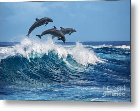 Beauty Metal Print featuring the photograph Three Beautiful Dolphins Jumping by Willyam Bradberry