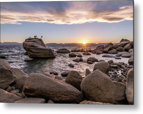 Bonsai Rock Metal Print featuring the photograph Three Trees by Shelby Erickson