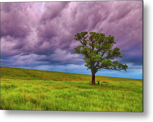 Tranquility Metal Print featuring the photograph Thunderstorm by Nebojsa Novakovic