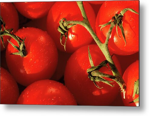 Juicy Metal Print featuring the photograph Tomatoes On Vine by Mitch Diamond