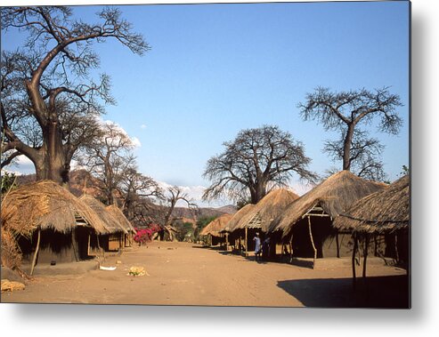 Tranquility Metal Print featuring the photograph Traditional Thatched Houses And Baobabs by © Santiago Urquijo