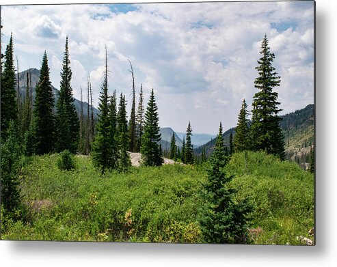 Mountain Metal Print featuring the photograph Trail to Gilpin Lake by Nicole Lloyd